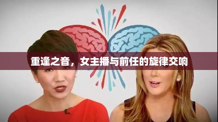 重逢之音，女主播與前任的旋律交響