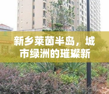 新鄉(xiāng)萊茵半島，城市綠洲的璀璨新篇章