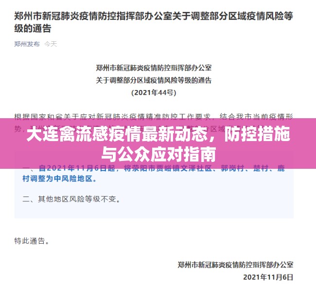 大連禽流感疫情最新動態(tài)，防控措施與公眾應(yīng)對指南