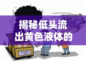 揭秘低頭流出黃色液體的真相，生理現(xiàn)象與健康警示