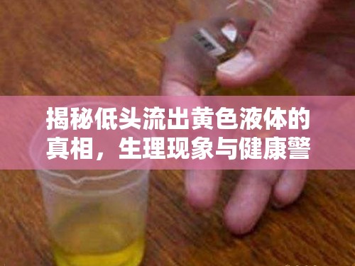 揭秘低頭流出黃色液體的真相，生理現(xiàn)象與健康警示