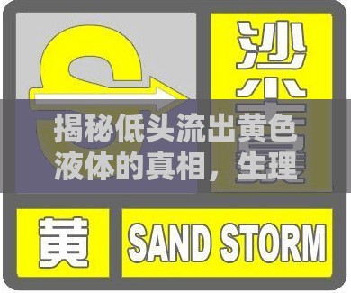 揭秘低頭流出黃色液體的真相，生理現(xiàn)象與健康警示