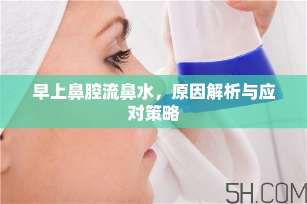 早上鼻腔流鼻水，原因解析與應(yīng)對(duì)策略
