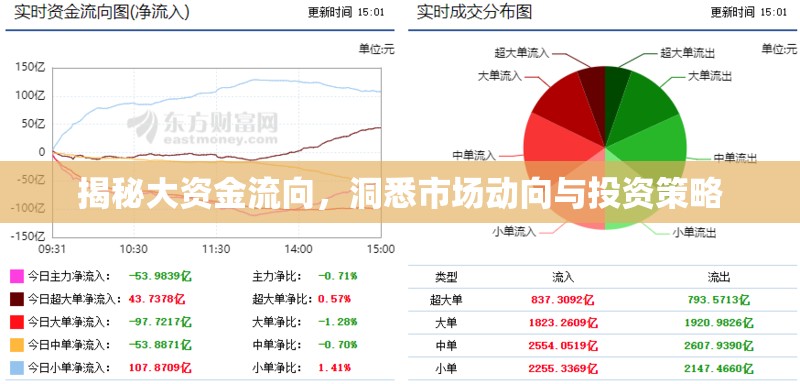 揭秘大資金流向，洞悉市場(chǎng)動(dòng)向與投資策略