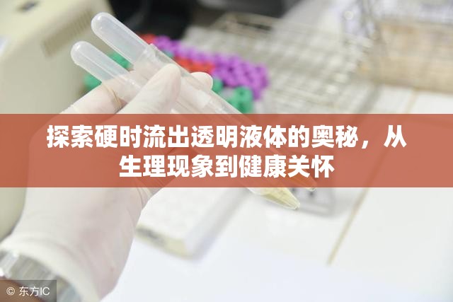 探索硬時(shí)流出透明液體的奧秘，從生理現(xiàn)象到健康關(guān)懷