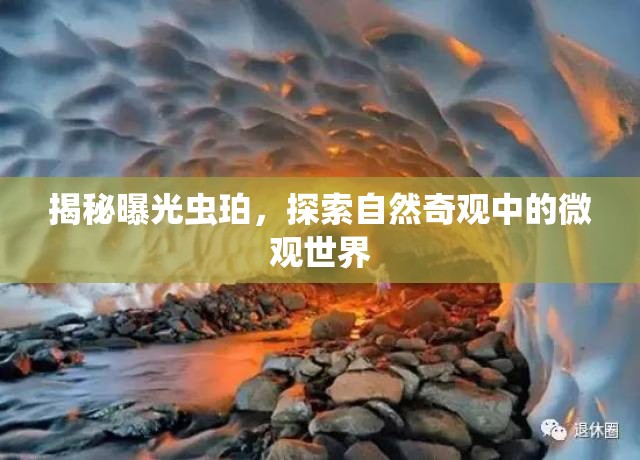 揭秘曝光蟲珀，探索自然奇觀中的微觀世界