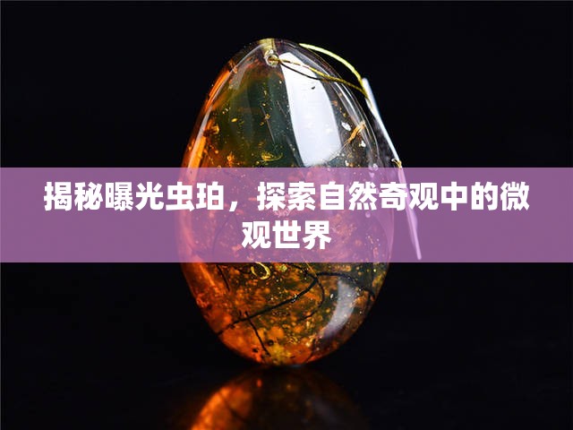 揭秘曝光蟲珀，探索自然奇觀中的微觀世界