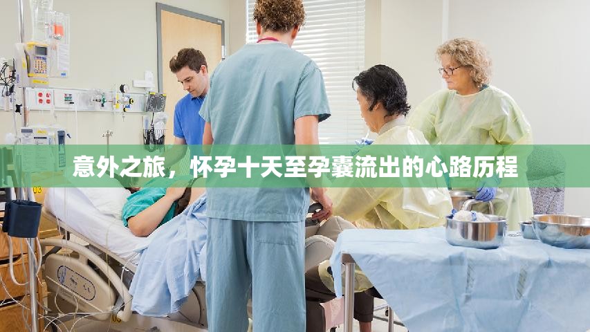 意外之旅，懷孕十天至孕囊流出的心路歷程