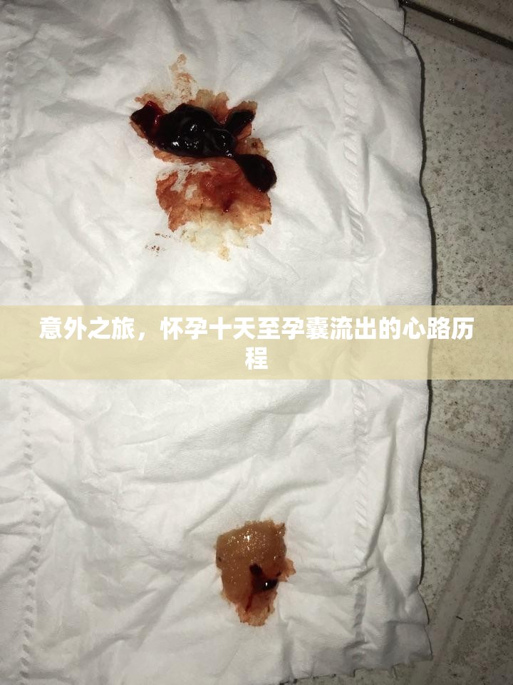 意外之旅，懷孕十天至孕囊流出的心路歷程