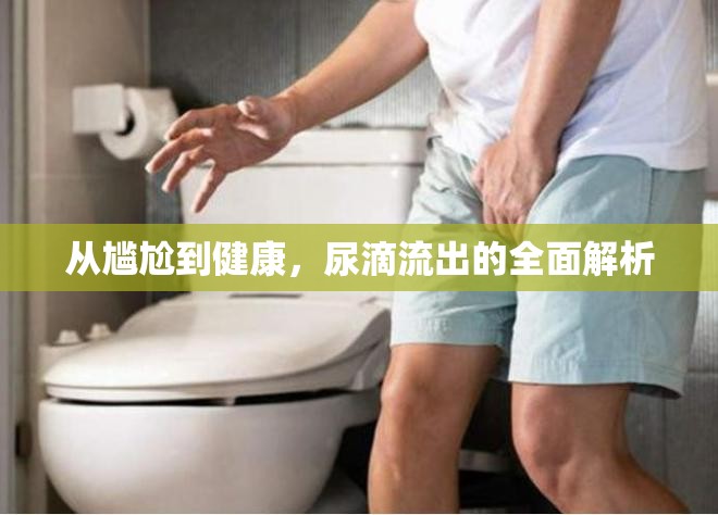 從尷尬到健康，尿滴流出的全面解析