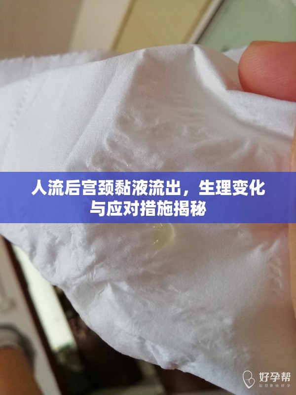 人流后宮頸黏液流出，生理變化與應(yīng)對(duì)措施揭秘