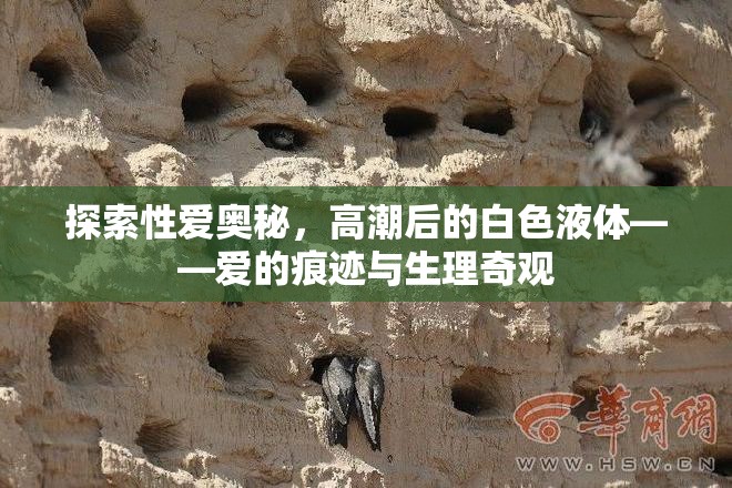 探索性愛奧秘，高潮后的白色液體——愛的痕跡與生理奇觀