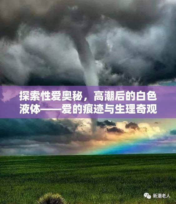 探索性愛奧秘，高潮后的白色液體——愛的痕跡與生理奇觀