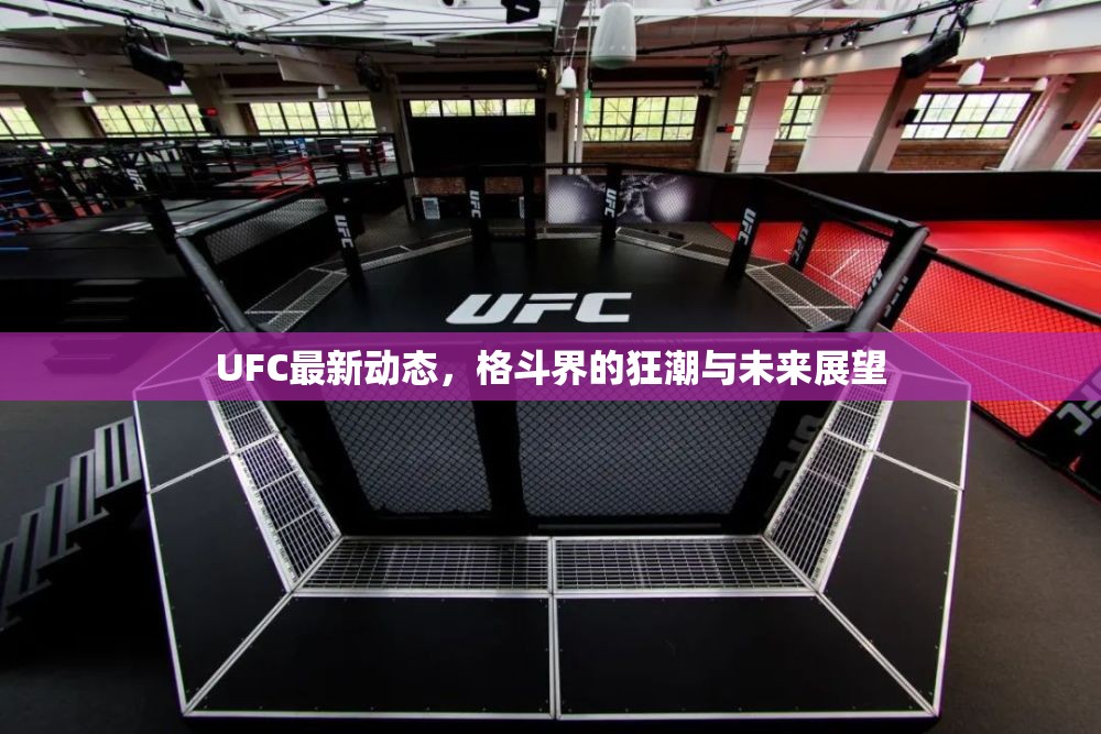 UFC最新動態(tài)，格斗界的狂潮與未來展望