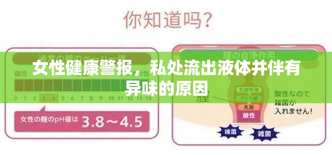 女性健康警報，私處流出液體并伴有異味的原因