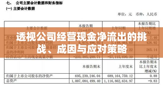 透視公司經(jīng)營(yíng)現(xiàn)金凈流出的挑戰(zhàn)、成因與應(yīng)對(duì)策略