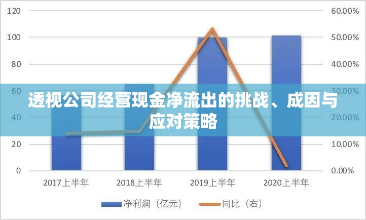透視公司經(jīng)營(yíng)現(xiàn)金凈流出的挑戰(zhàn)、成因與應(yīng)對(duì)策略