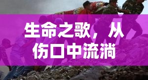生命之歌，從傷口中流淌的堅韌與重生
