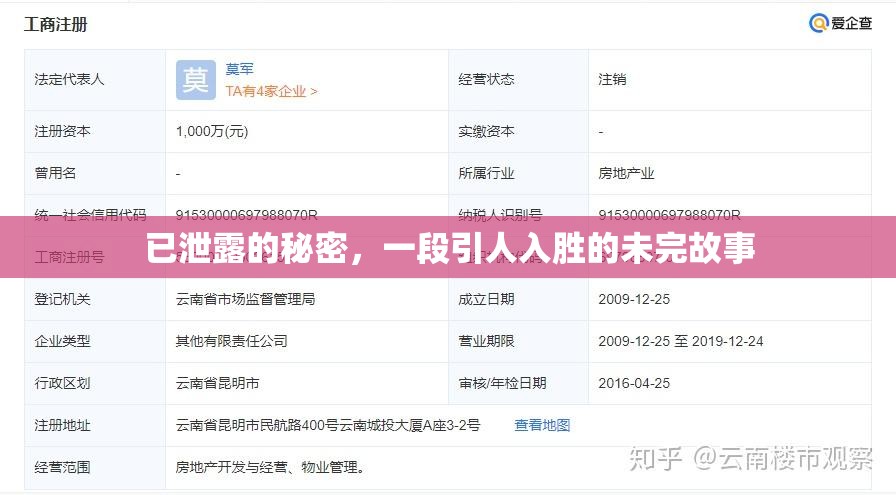 已泄露的秘密，一段引人入勝的未完故事