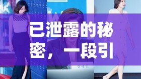 已泄露的秘密，一段引人入勝的未完故事