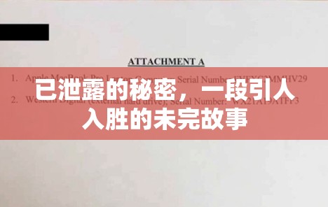 已泄露的秘密，一段引人入勝的未完故事