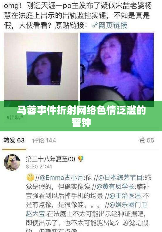 馬蓉事件折射網(wǎng)絡色情泛濫的警鐘