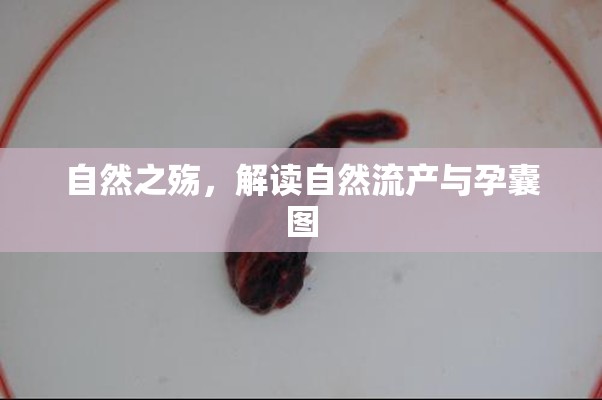自然之殤，解讀自然流產(chǎn)與孕囊圖