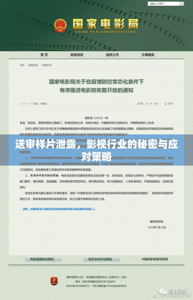 送審樣片泄露，影視行業(yè)的秘密與應(yīng)對(duì)策略