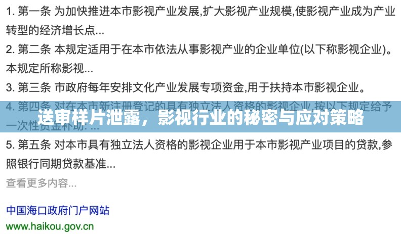 送審樣片泄露，影視行業(yè)的秘密與應(yīng)對(duì)策略