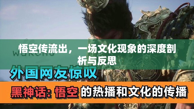 悟空傳流出，一場(chǎng)文化現(xiàn)象的深度剖析與反思