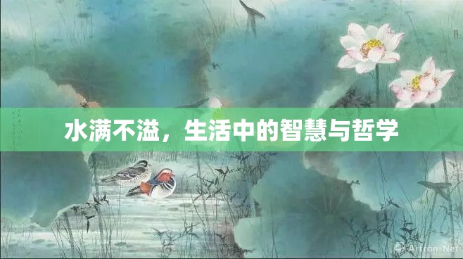 水滿不溢，生活中的智慧與哲學(xué)