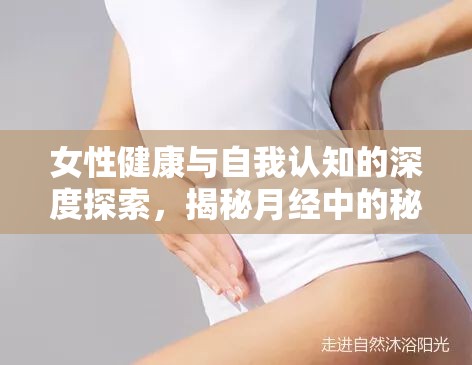 女性健康與自我認知的深度探索，揭秘月經(jīng)中的秘密