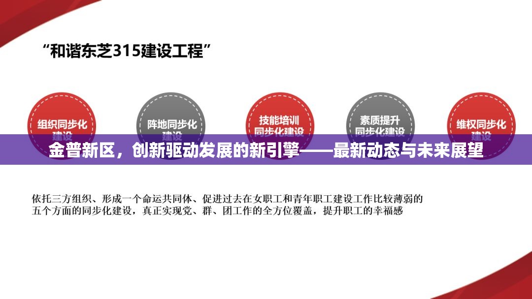 金普新區(qū)，創(chuàng)新驅(qū)動(dòng)發(fā)展的新引擎——最新動(dòng)態(tài)與未來展望