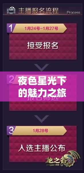 夜色星光下的魅力之旅，夜戀秀場女主播迅雷的璀璨瞬間
