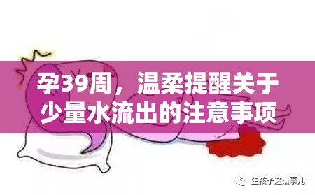 孕39周，溫柔提醒關(guān)于少量水流出的注意事項(xiàng)