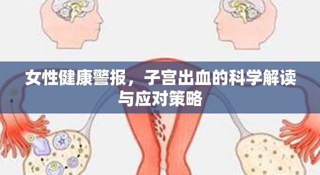 女性健康警報(bào)，子宮出血的科學(xué)解讀與應(yīng)對(duì)策略