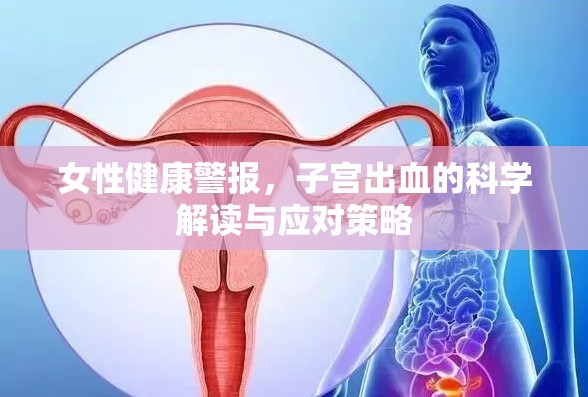 女性健康警報(bào)，子宮出血的科學(xué)解讀與應(yīng)對(duì)策略