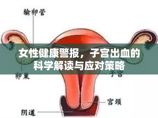 女性健康警報(bào)，子宮出血的科學(xué)解讀與應(yīng)對(duì)策略