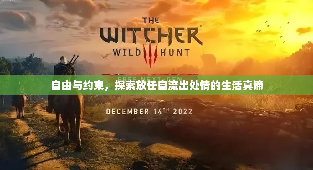 自由與約束，探索放任自流出處情的生活真諦