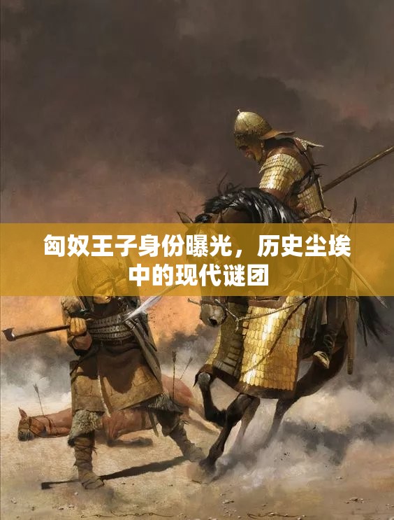 匈奴王子身份曝光，歷史塵埃中的現(xiàn)代謎團(tuán)