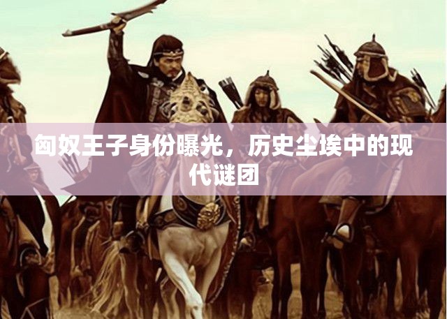 匈奴王子身份曝光，歷史塵埃中的現(xiàn)代謎團(tuán)