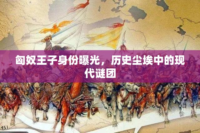匈奴王子身份曝光，歷史塵埃中的現(xiàn)代謎團(tuán)