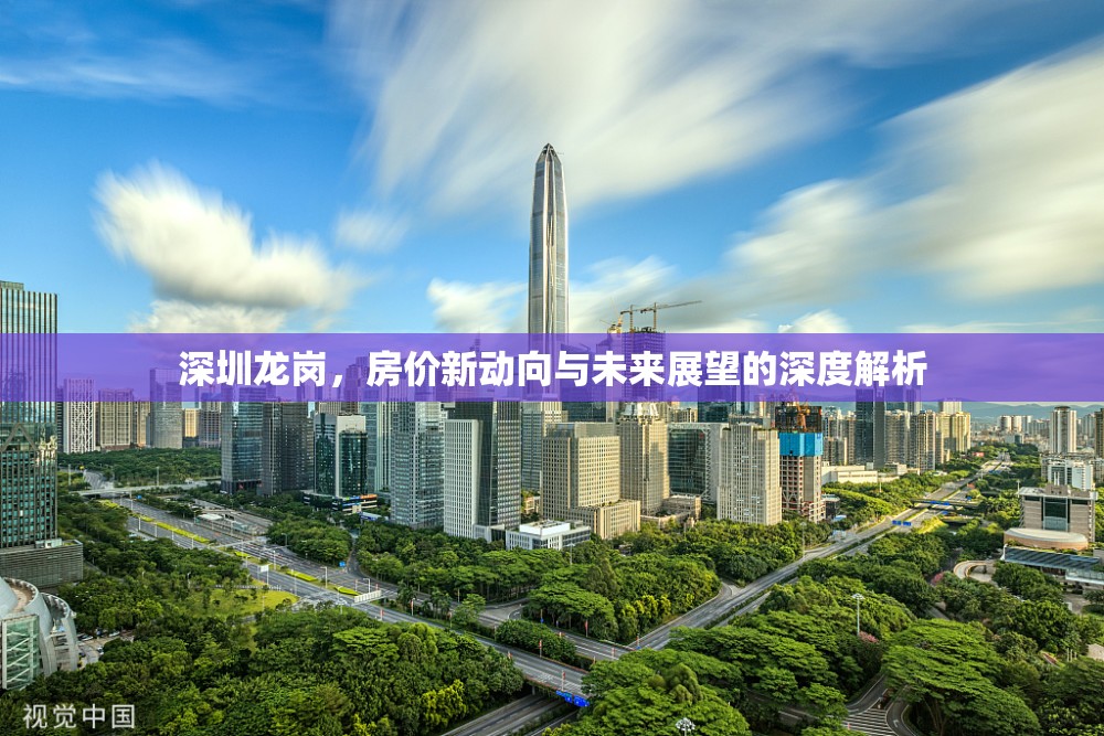 深圳龍崗，房價新動向與未來展望的深度解析