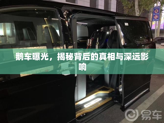 鵝車曝光，揭秘背后的真相與深遠(yuǎn)影響