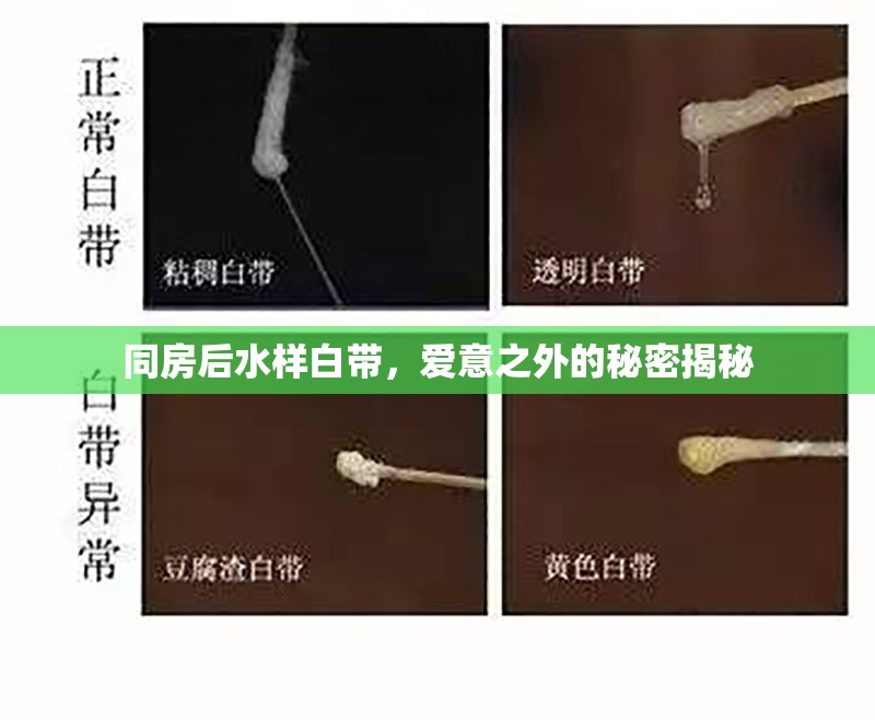 同房后水樣白帶，愛意之外的秘密揭秘