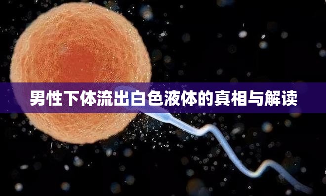 男性下體流出白色液體的真相與解讀