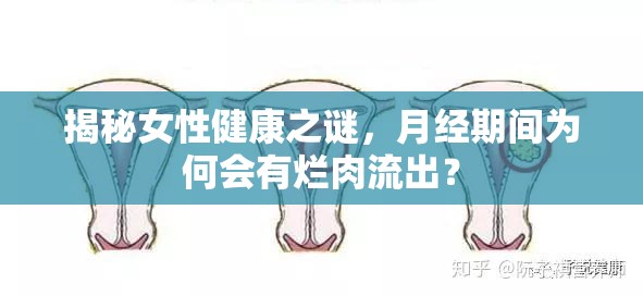 揭秘女性健康之謎，月經(jīng)期間為何會(huì)有爛肉流出？