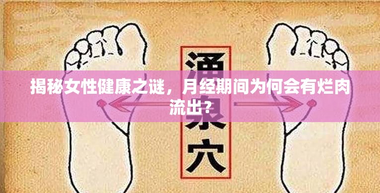 揭秘女性健康之謎，月經(jīng)期間為何會(huì)有爛肉流出？