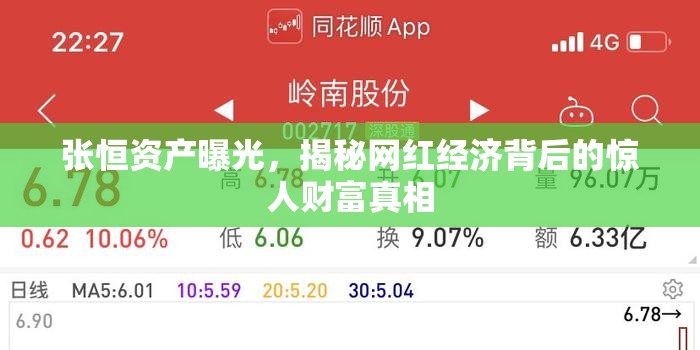 張恒資產(chǎn)曝光，揭秘網(wǎng)紅經(jīng)濟(jì)背后的驚人財(cái)富真相