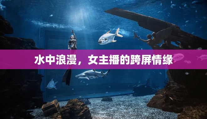 水中浪漫，女主播的跨屏情緣